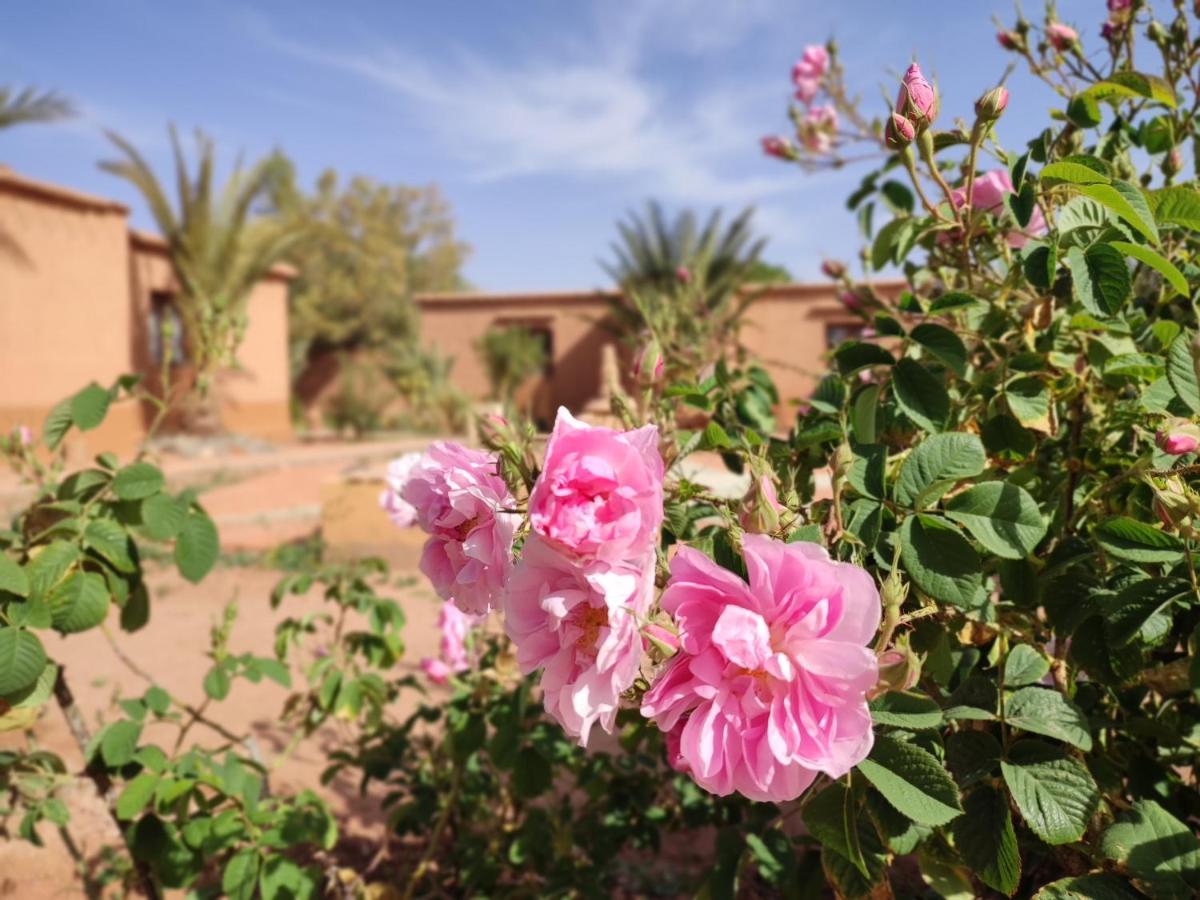 Maison D'Hotes Tigminou - Adults Only Ait Benhaddou Buitenkant foto