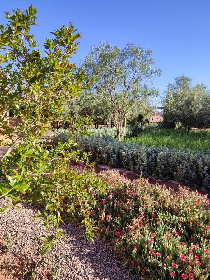 Maison D'Hotes Tigminou - Adults Only Ait Benhaddou Buitenkant foto