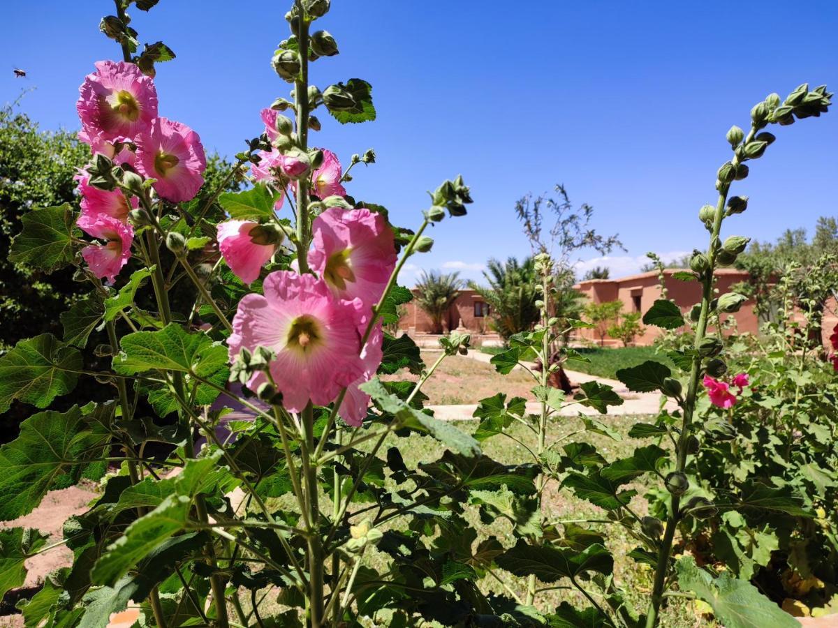 Maison D'Hotes Tigminou - Adults Only Ait Benhaddou Buitenkant foto